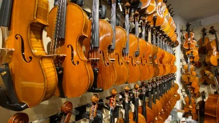 Geigen (Violinen) im Showroom